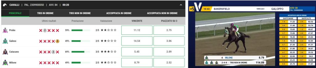 Better Scommesse Virtuali